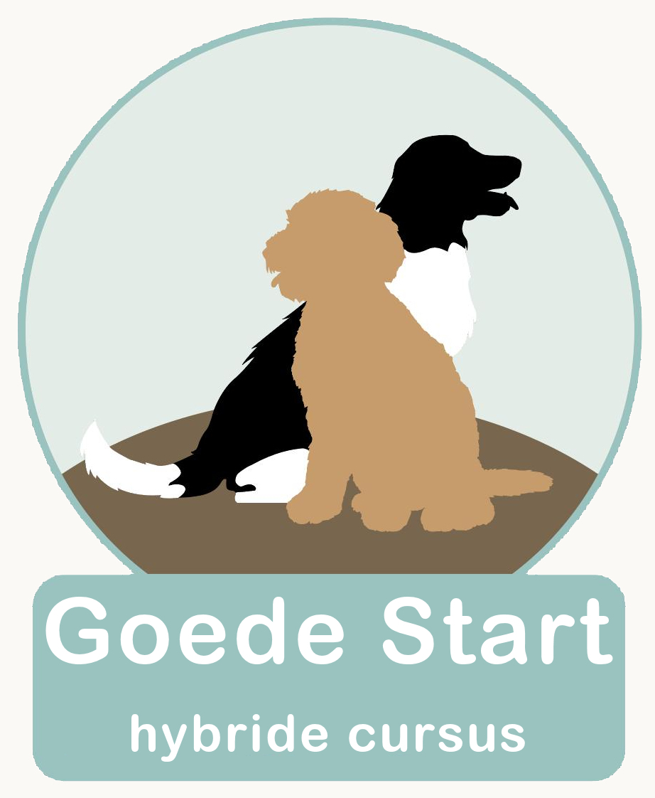 Goede start hybride cursus voor pups