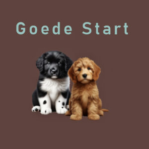 Goede Start