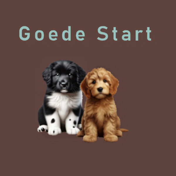 Goede Start